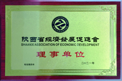 陜西省經(jīng)濟(jì)發(fā)展促進(jìn)會(huì)“理事單位”